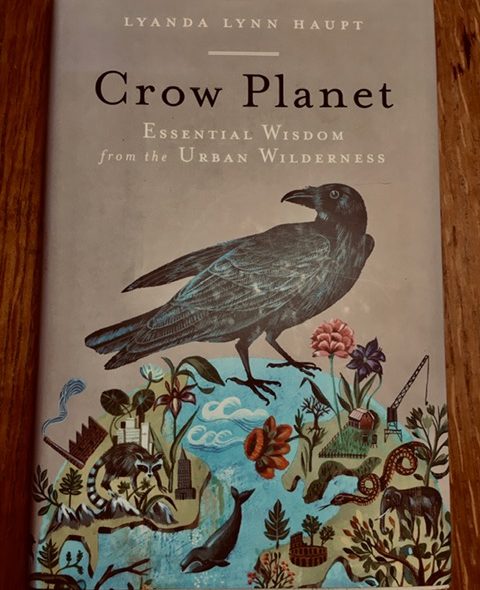 Crows –The Symbol of Everything